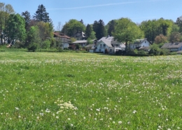 Berg - Ostufer Starnberger See