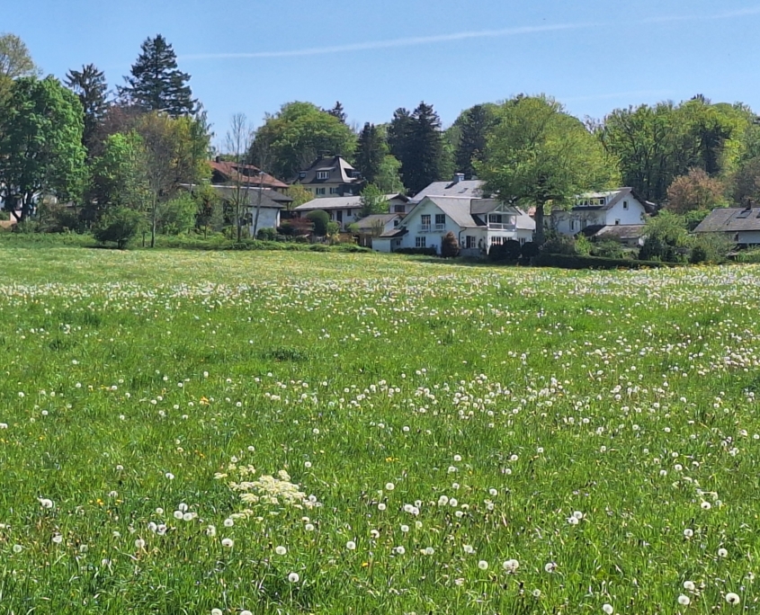 Berg - Ostufer Starnberger See