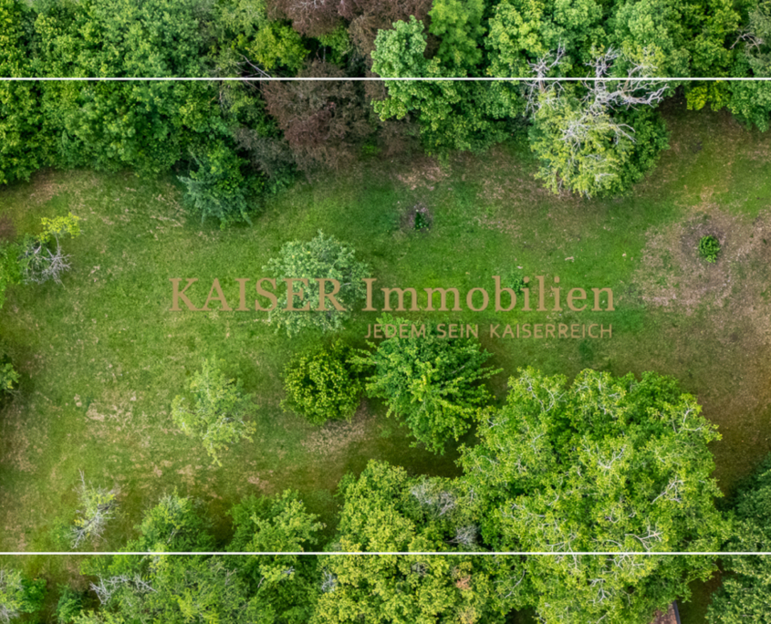 Spitzenlage, viele Möglichkeiten! Baugrundstück im Herzen von Berg