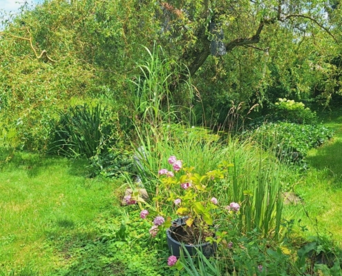 viel Grün und Ruhe freier Blick, angrenzend an Wiese