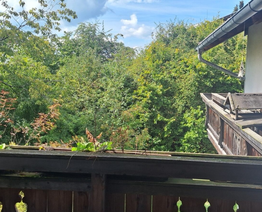 Garten nach Westen und Süden